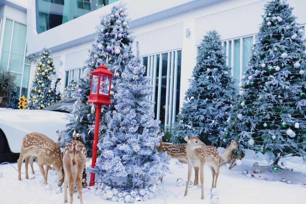 Glacier Hotel Khon Kaen Esterno foto